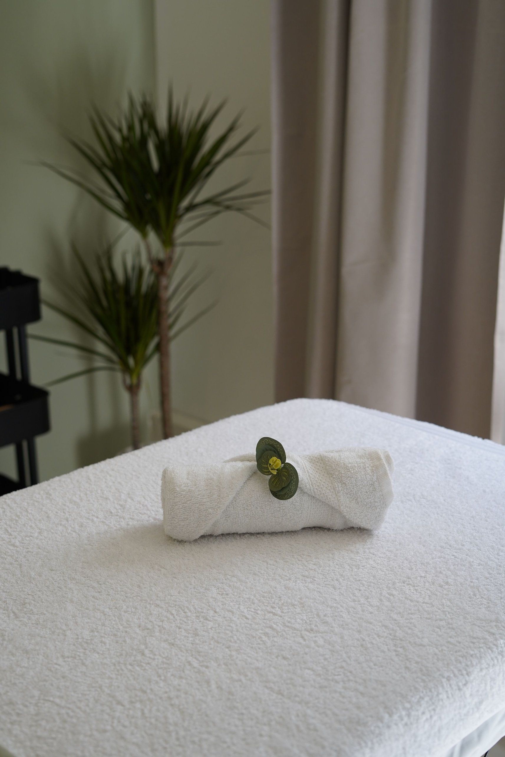 Sala de atendimento serena: rolo de toalha branca com folha de eucalipto sobre a maca, planta e luz natural ao fundo
